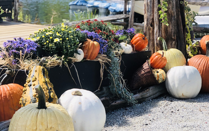 Three ideas to style your fall decor